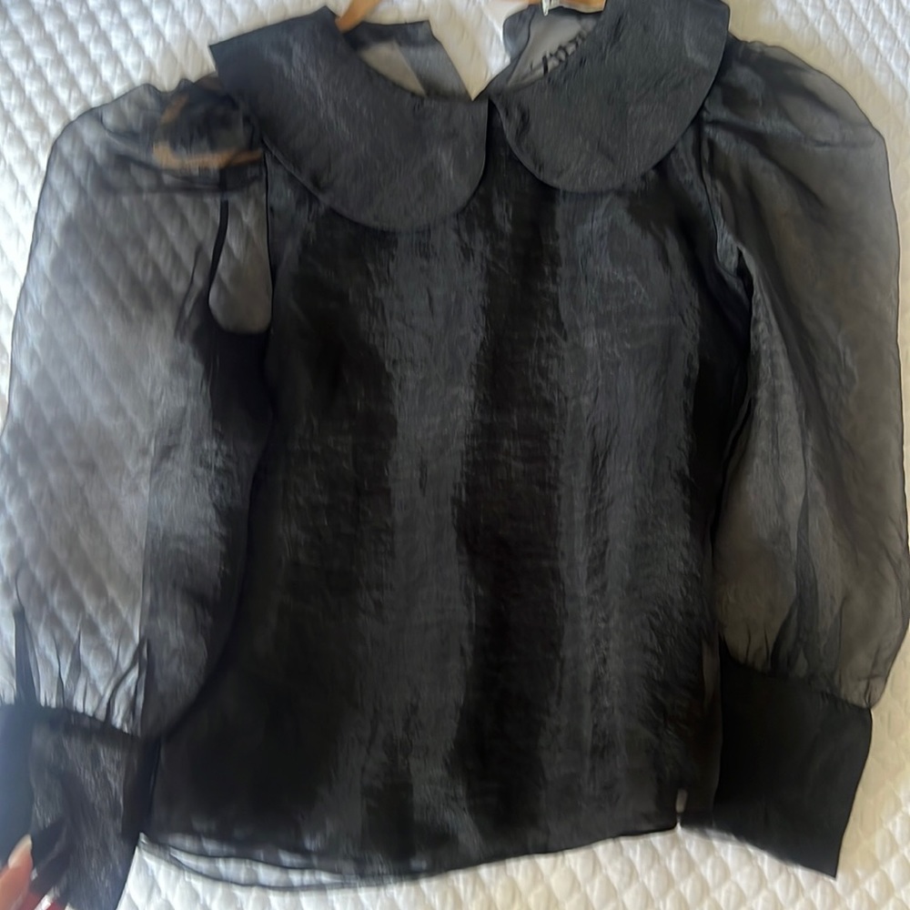 Zara top/ blouse sheer with buttons